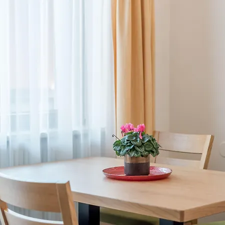 加尼维塞尔公寓式酒店 3* 索尔登